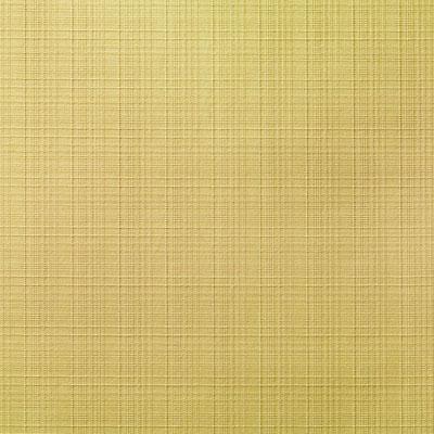 DK61566 | 205-JONQUIL