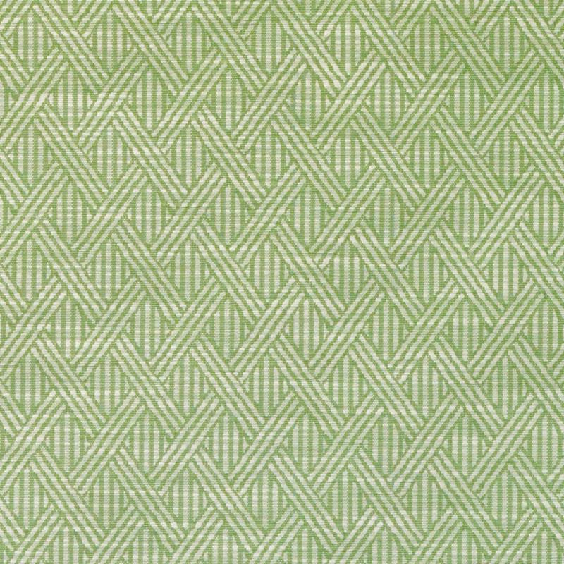 DI61592 | 303-FERN