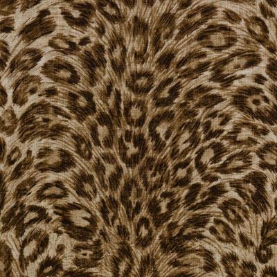 DP61591 | 10-BROWN