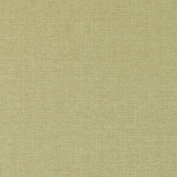 90919 | 264-GOLDENROD