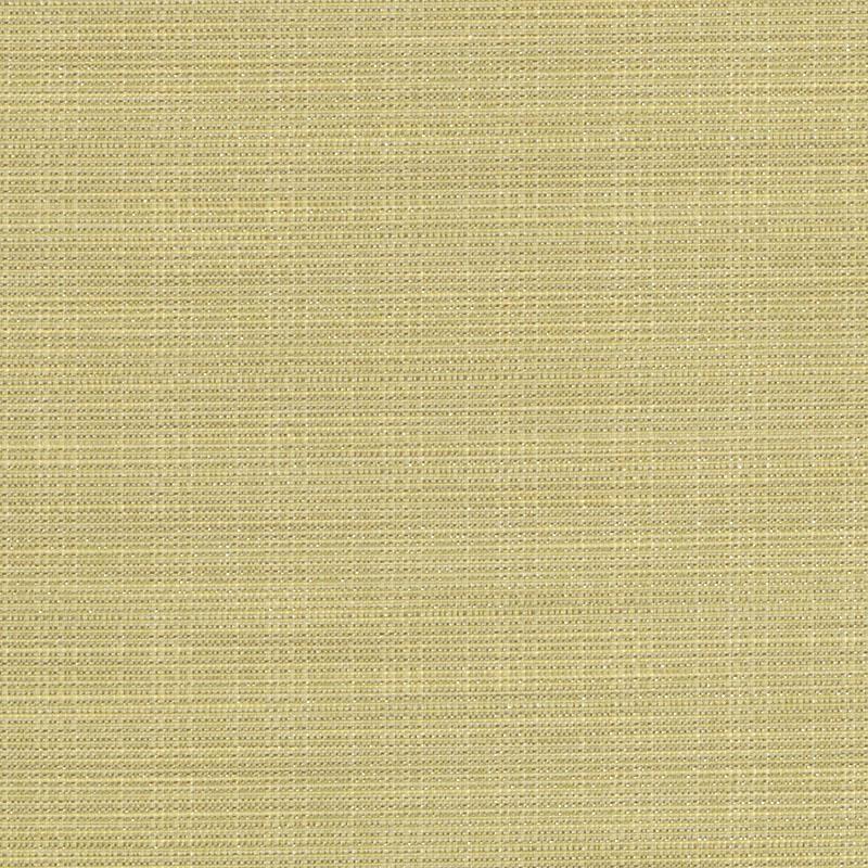 90954 | 243-HONEY DEW