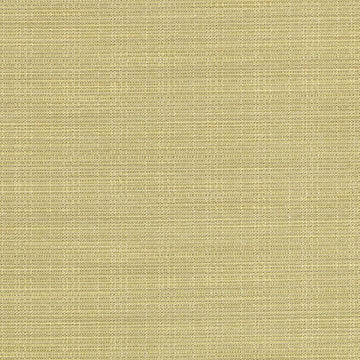 90954 | 243-HONEY DEW