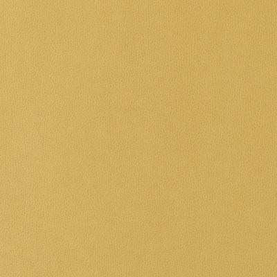 90949 | 258-MUSTARD