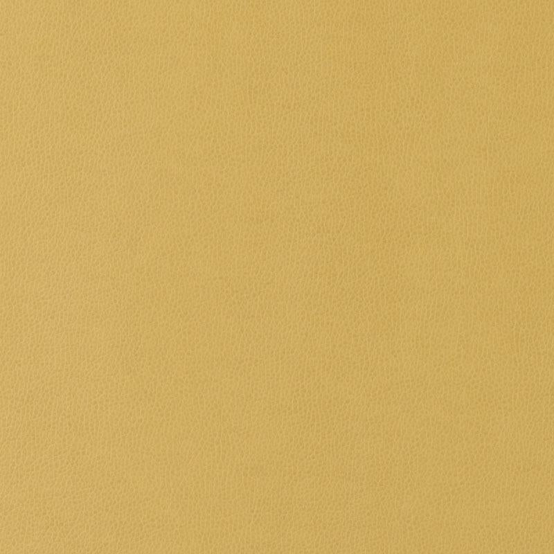 90949 | 258-MUSTARD