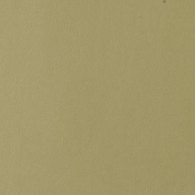 90948 | 21-AVOCADO