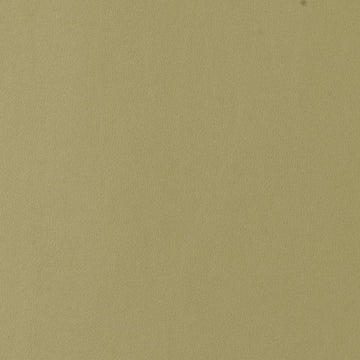 90948 | 21-AVOCADO