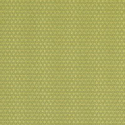 90955 | 609-WASABI
