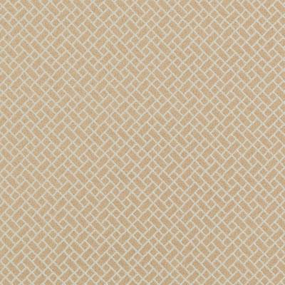 71114 | 124-BLUSH - Upholstery - Fabric