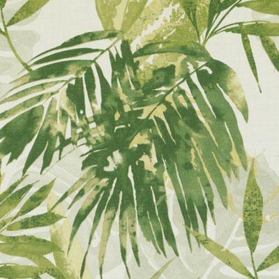 SE72116 | 279-JUNGLE GREE