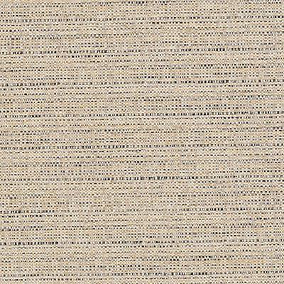 DD61681 | 417-BURLAP - Upholstery - Fabric