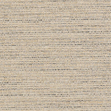 DD61681 | 417-BURLAP - Upholstery - Fabric