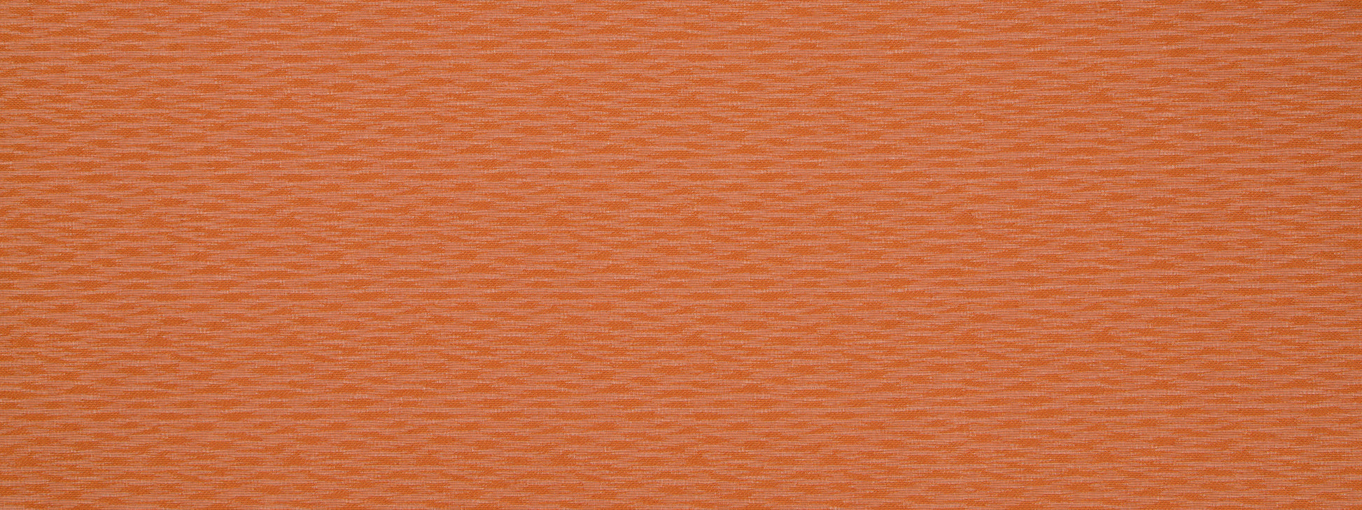 STEP BACK | PERSIMMON