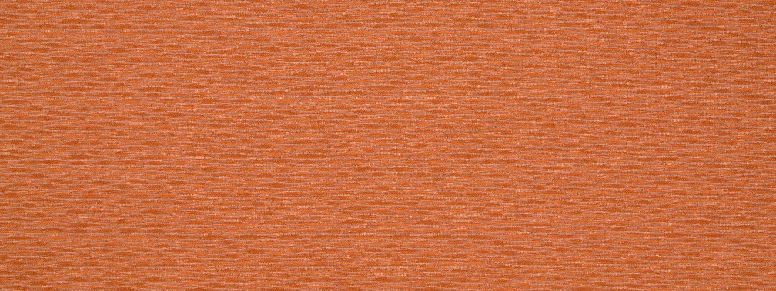 STEP BACK | PERSIMMON