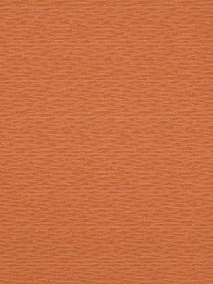STEP BACK | PERSIMMON