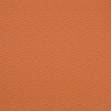 STEP BACK | PERSIMMON