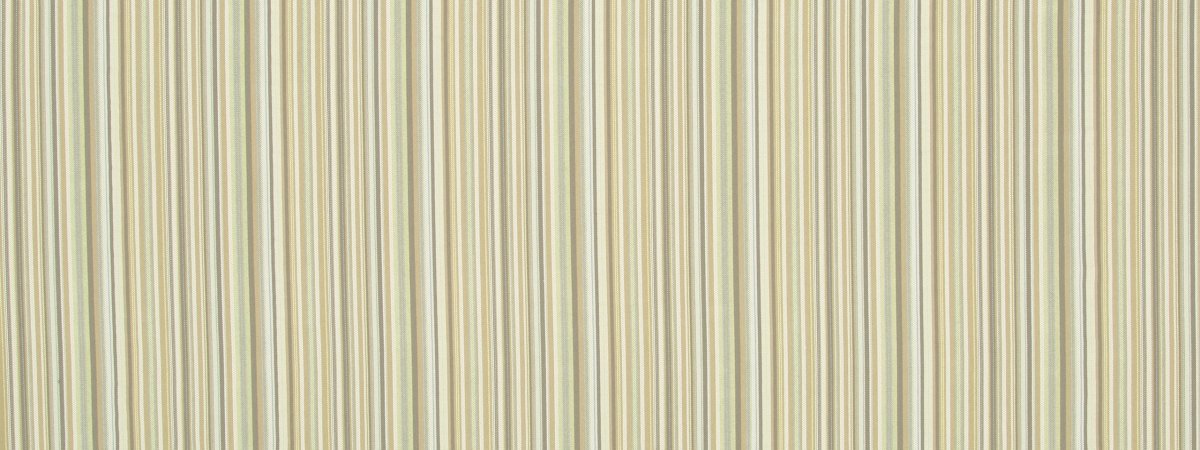 TAILORED EDGE | CITRON - Upholstery - Fabric