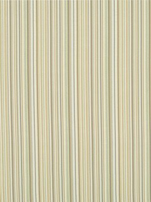 TAILORED EDGE | CITRON - Upholstery - Fabric