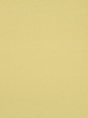 PERIMETER | CITRON - Upholstery - Fabric