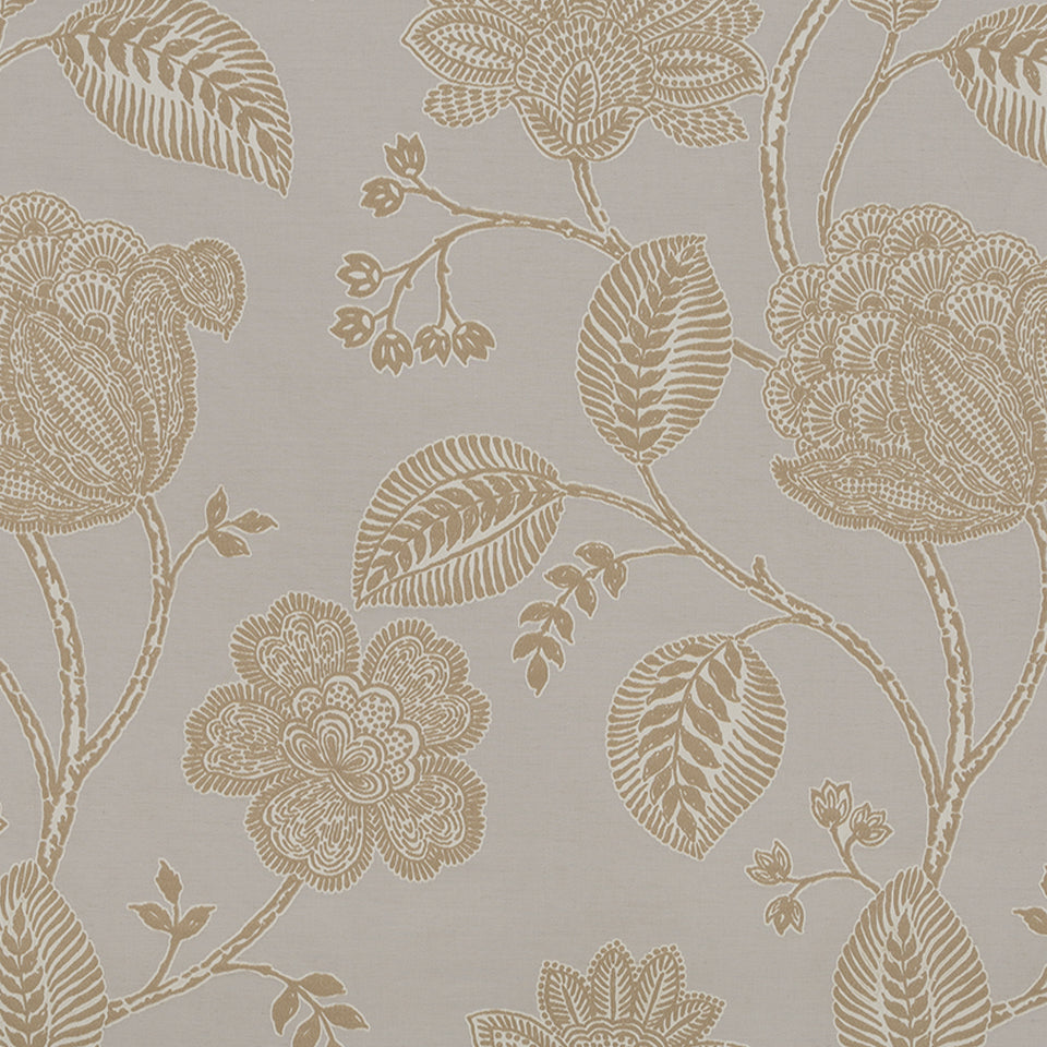 NAVINA | TRUFFLE