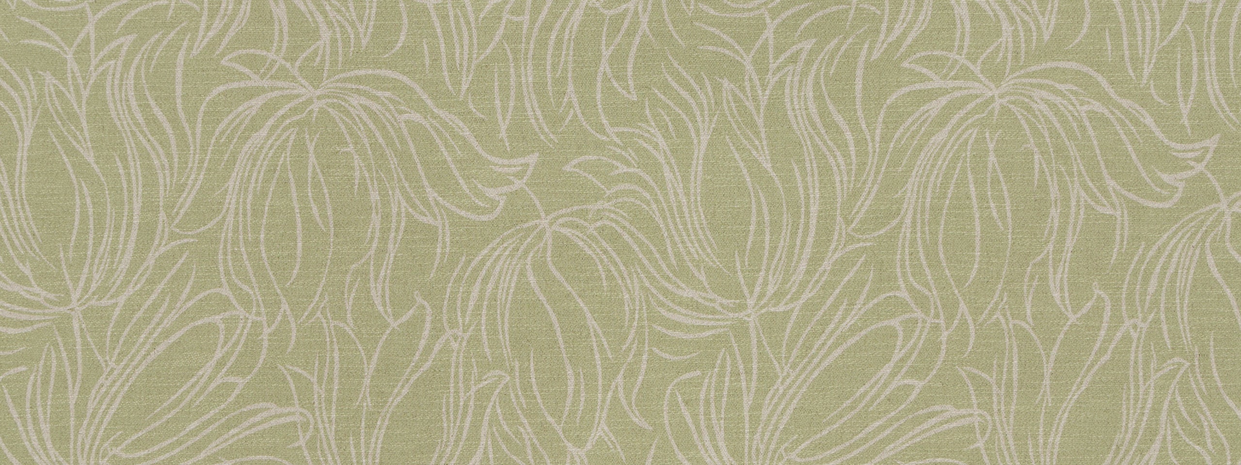 Tulip Etch | Lettuce