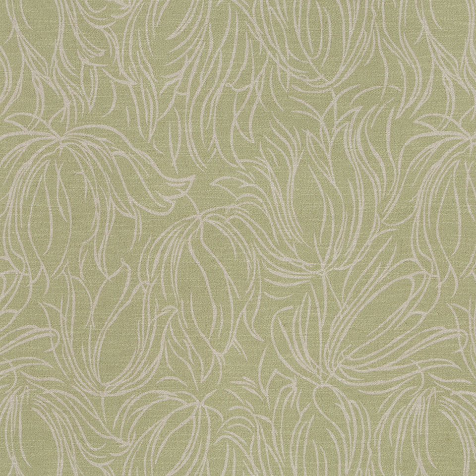 Tulip Etch | Lettuce