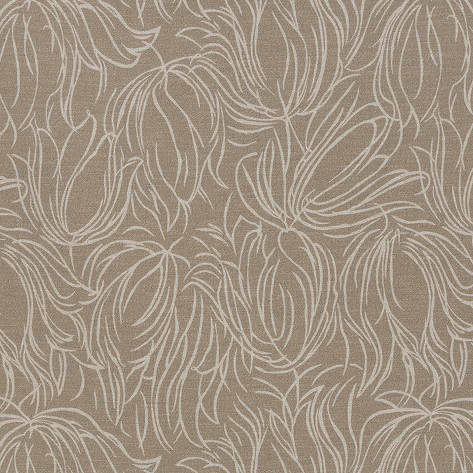 Tulip Etch | Truffle