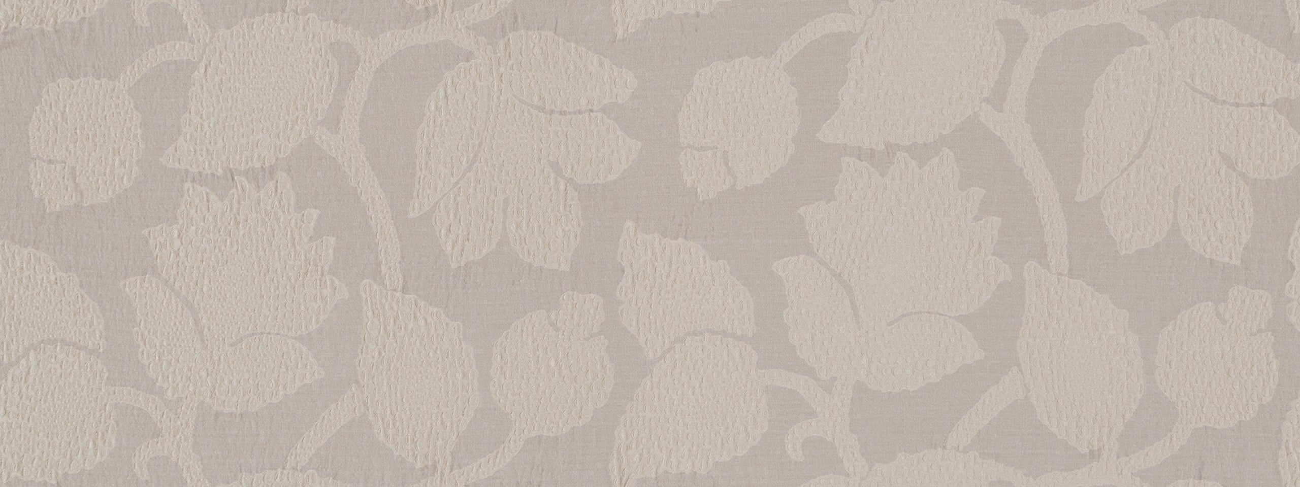 BIOPHILIA | OYSTER