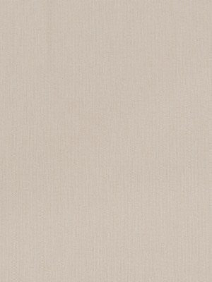 GHANA WEAVE | OYSTER