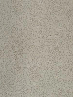 BUBBLE PLAY | OYSTER