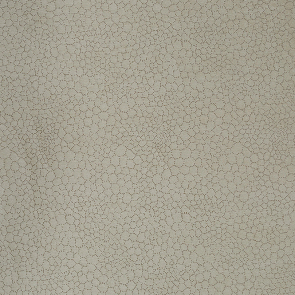 BUBBLE PLAY | OYSTER