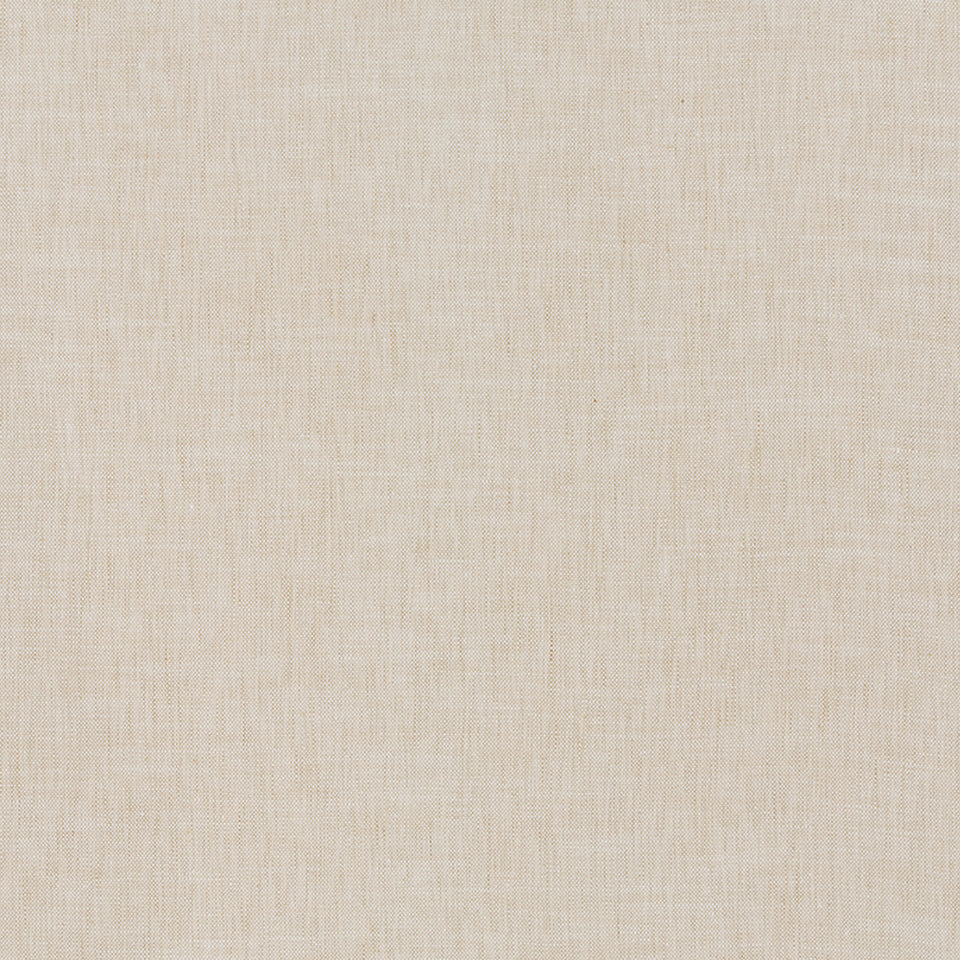 TINSON WEAVE | OYSTER