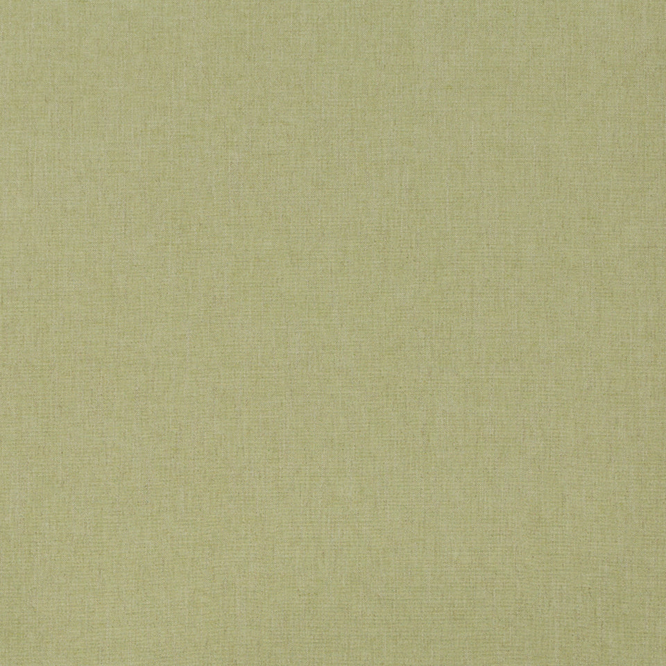 LINEN CANVAS | LETTUCE