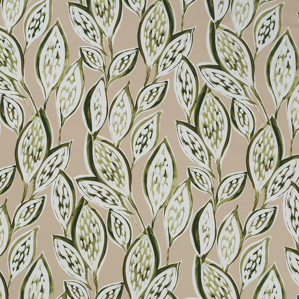 LEAF THROUGH | OYSTER