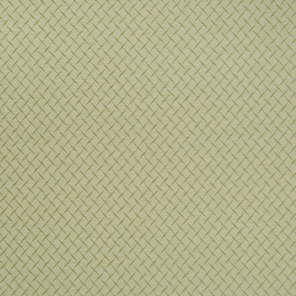 BENI BERBER | LETTUCE