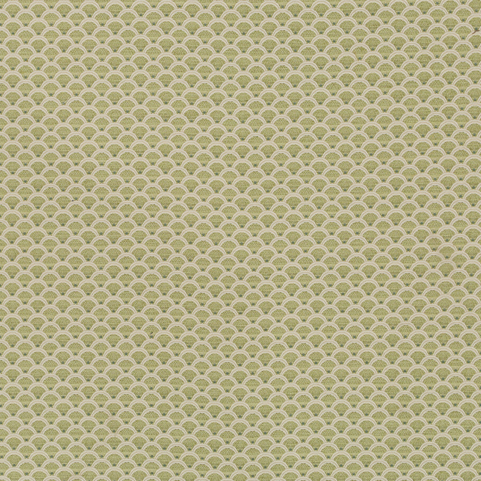 DISTANT HILLS | LETTUCE