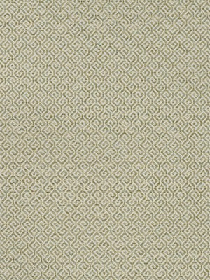 MOTTLED MAZE | LETTUCE