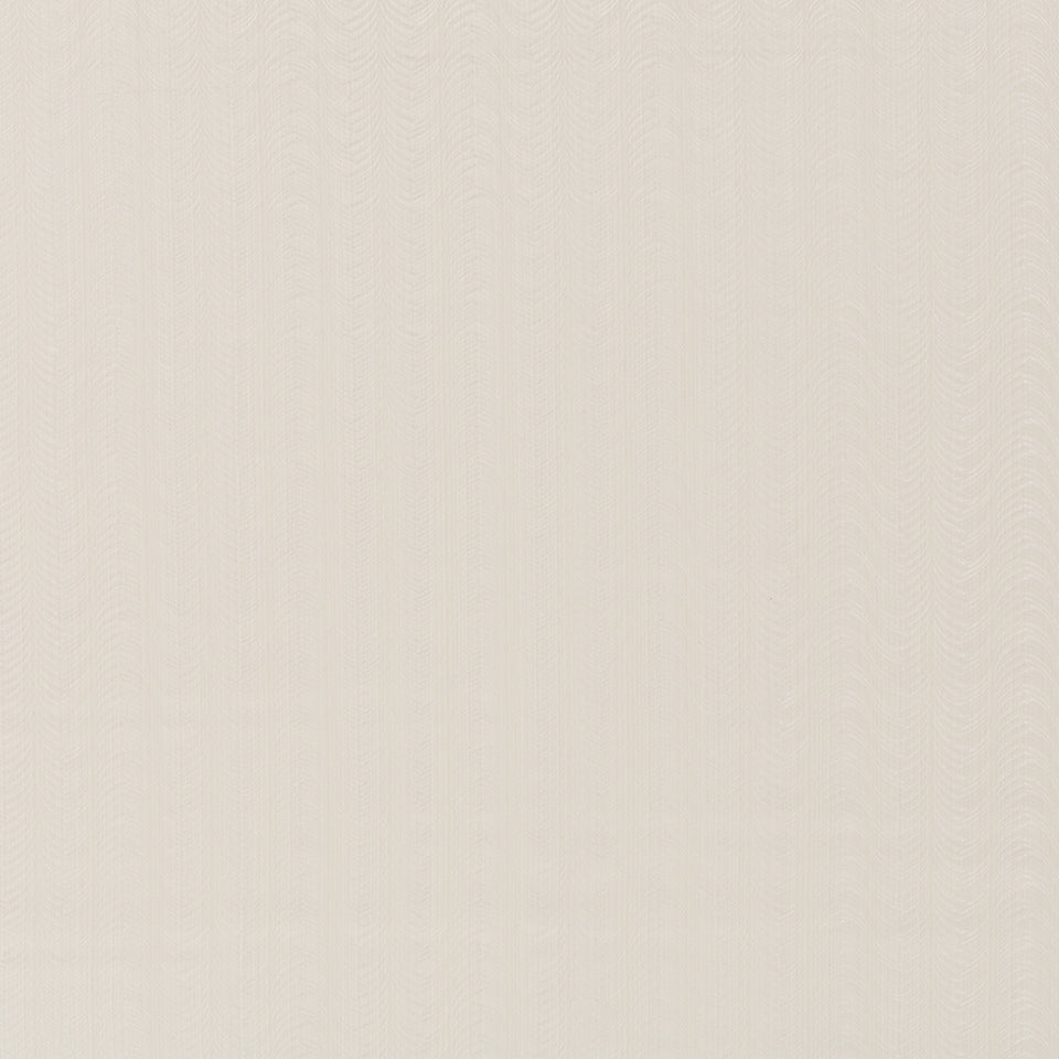 DELICATE WAVES | OYSTER
