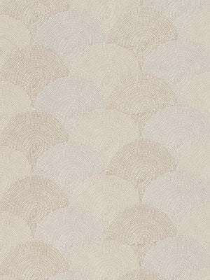 PARASOL BAY | OYSTER