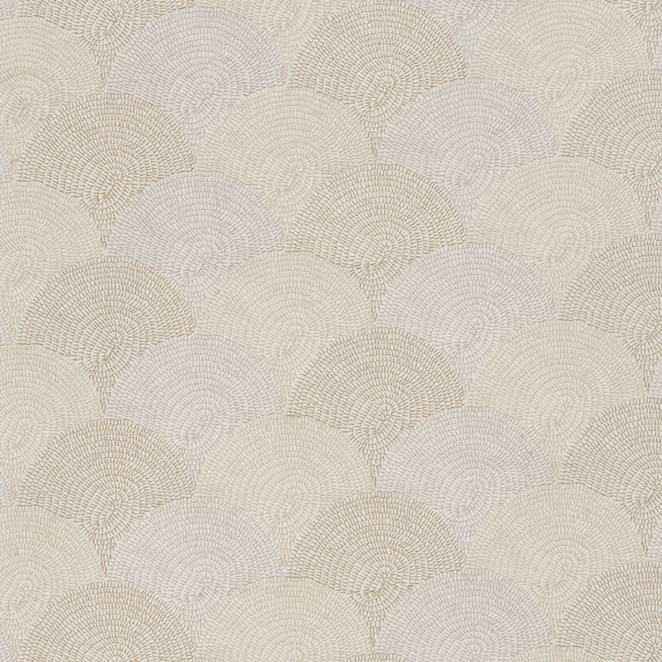 PARASOL BAY | OYSTER