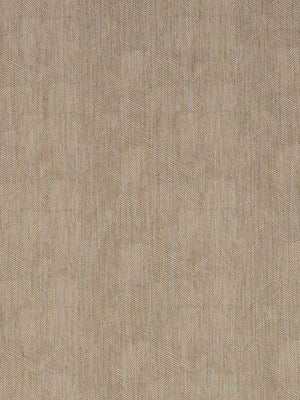 MANZIL MAZE | OYSTER