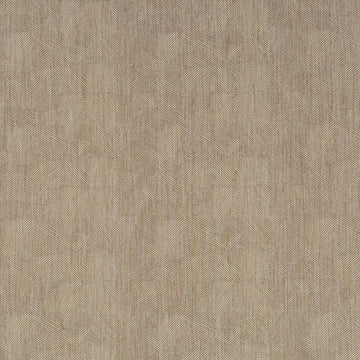 MANZIL MAZE | OYSTER