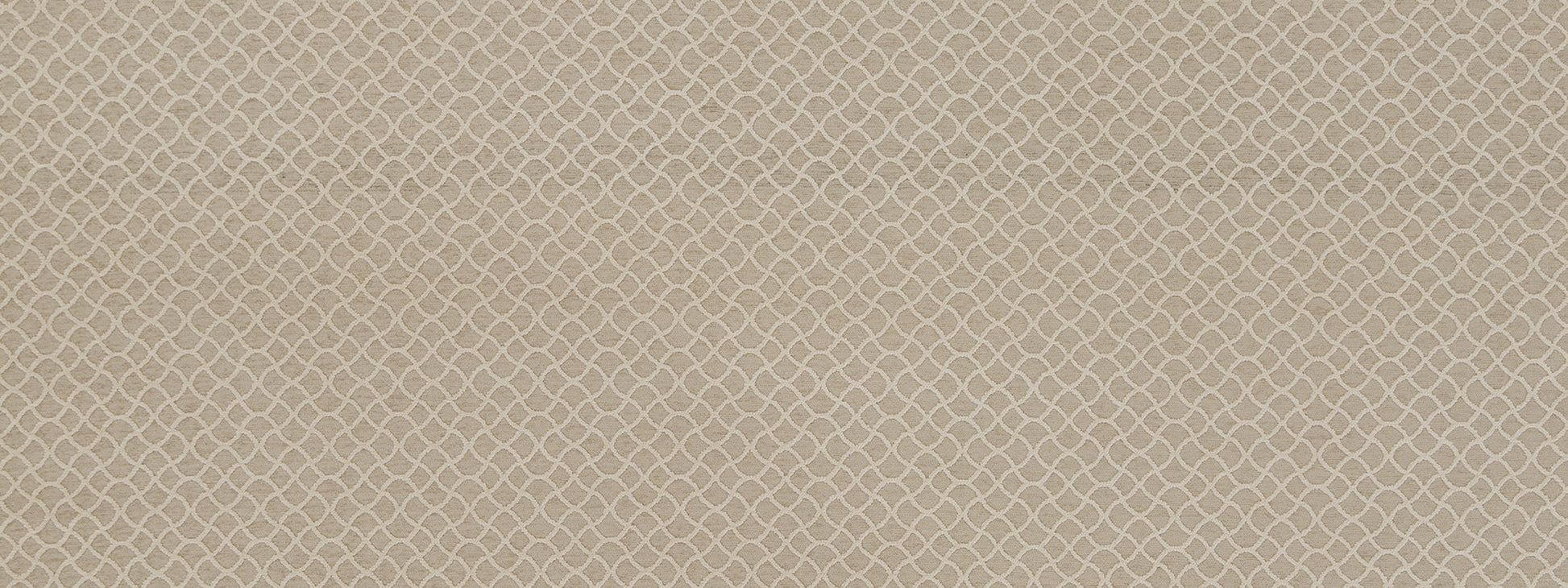 GOTHIC TRACERY | OYSTER