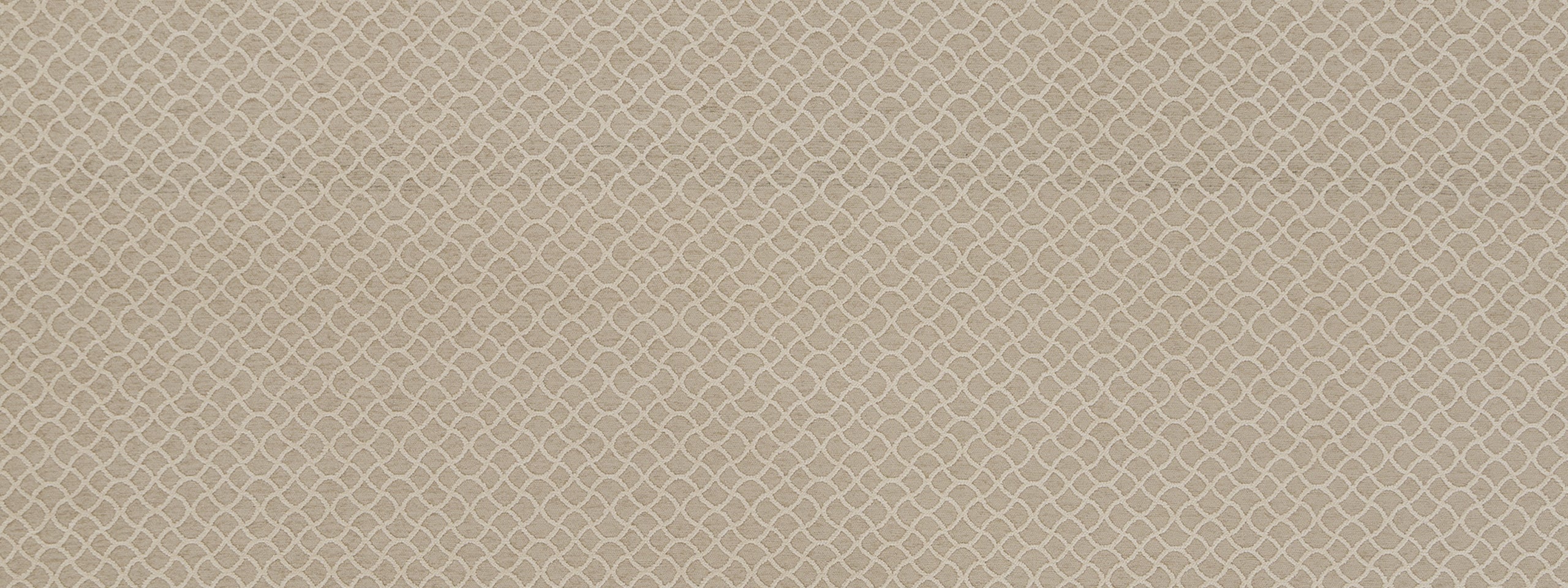 GOTHIC TRACERY | OYSTER