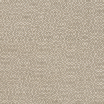 GOTHIC TRACERY | OYSTER