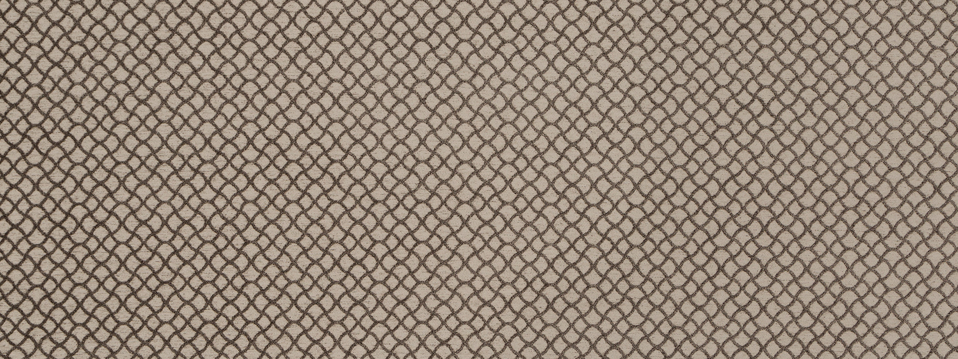 GOTHIC TRACERY | TRUFFLE