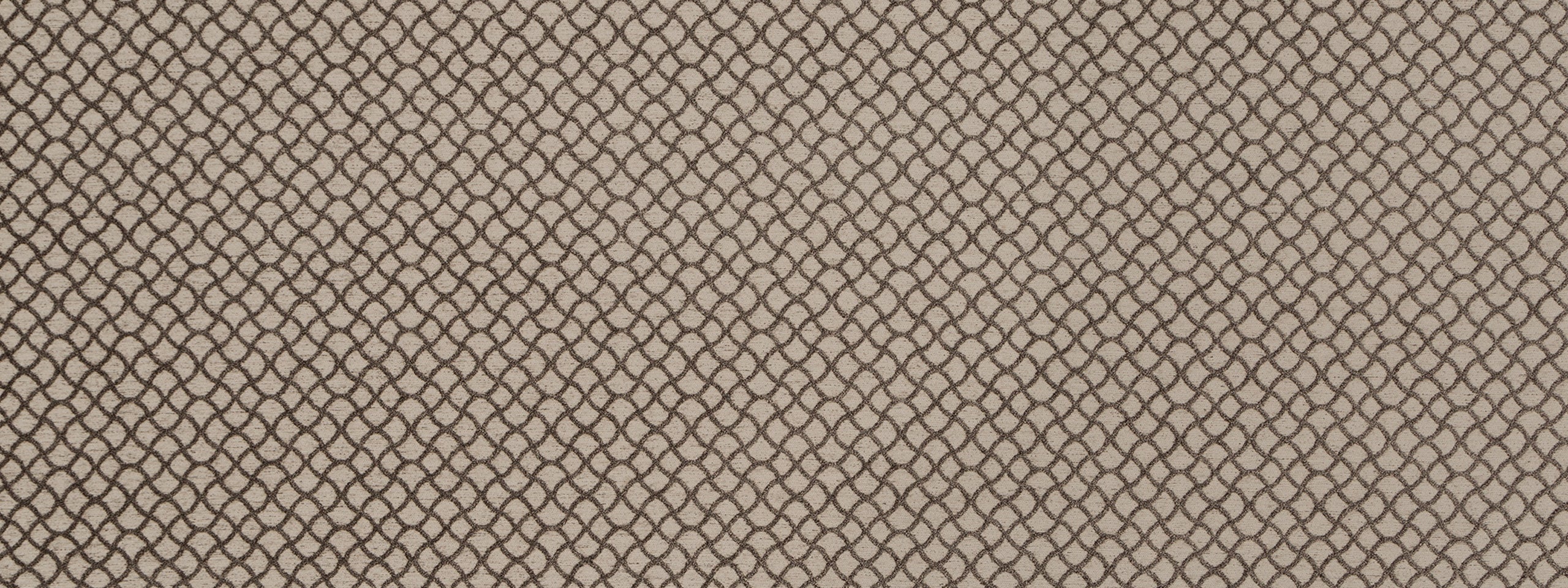 GOTHIC TRACERY | TRUFFLE