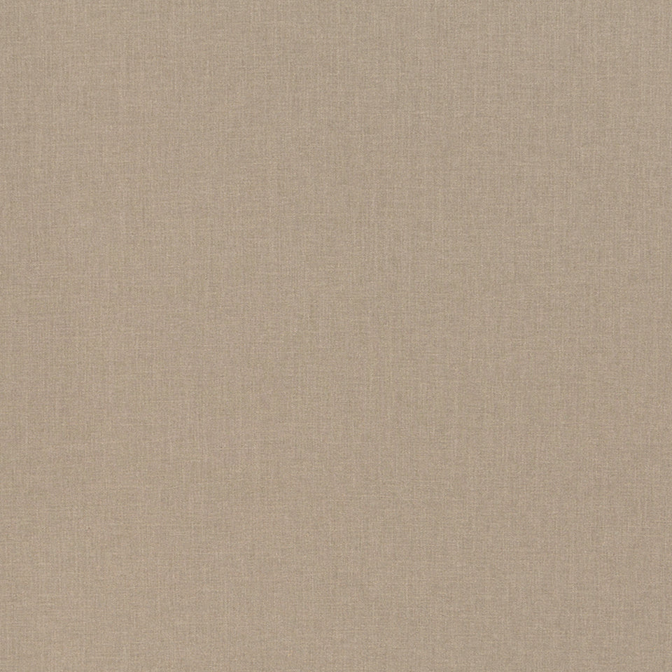 JAY PEAK | TRUFFLE