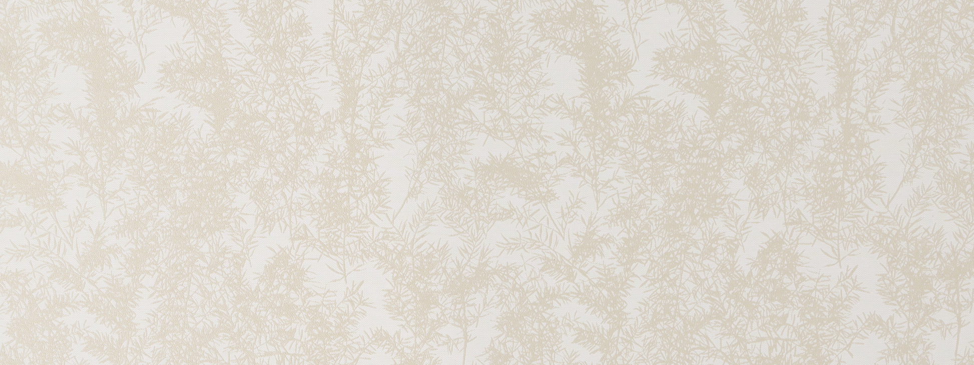 WOLONG GARDEN | OYSTER