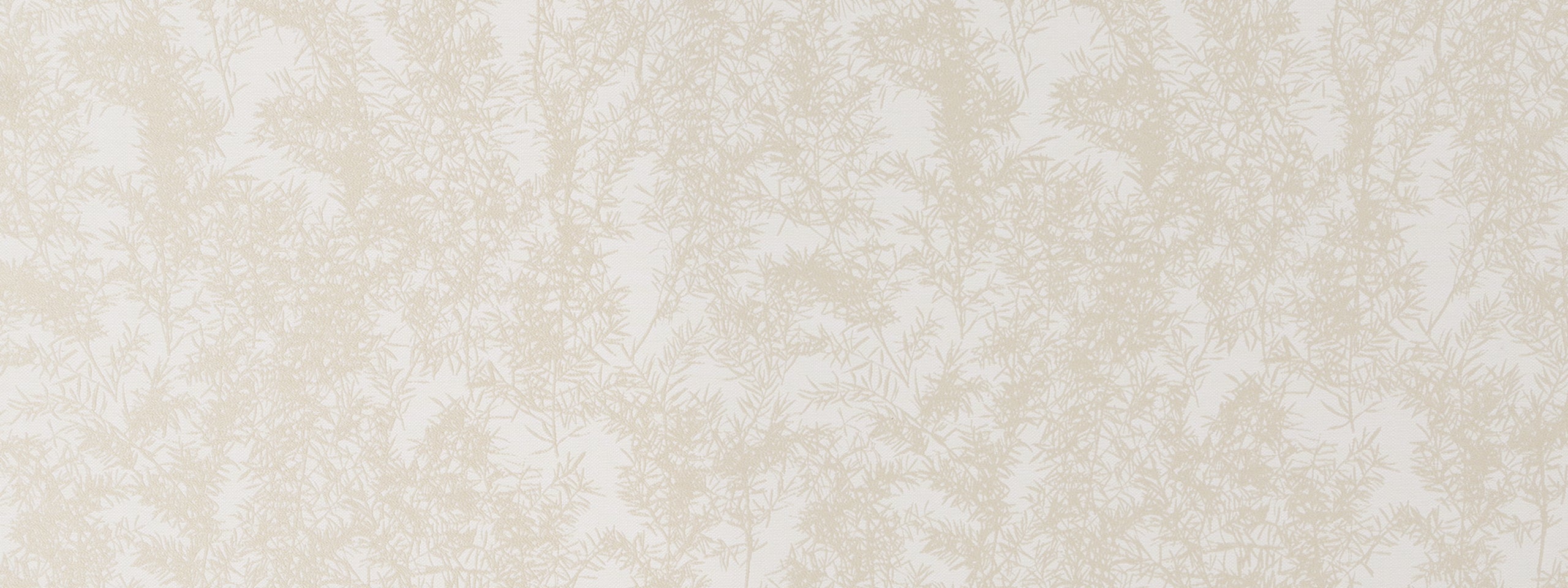 WOLONG GARDEN | OYSTER
