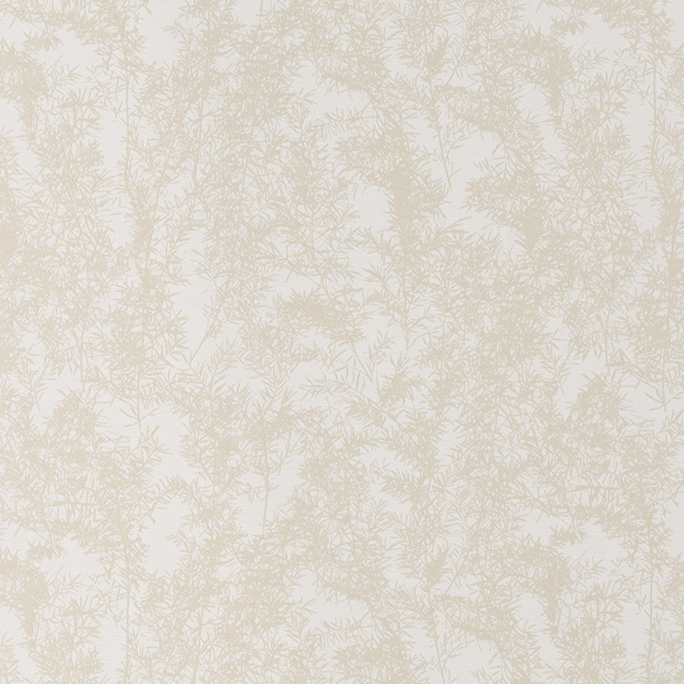 WOLONG GARDEN | OYSTER